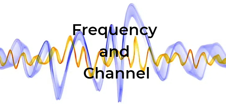 What are Walkie Talkie Frequency and Channel?